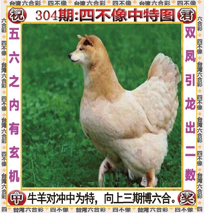 黄大仙手机站